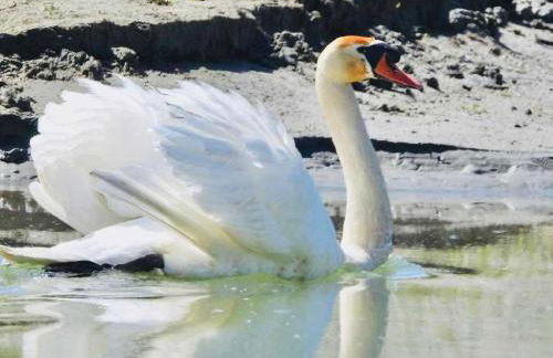 Ferienwohnung Bellissima - Foto 15