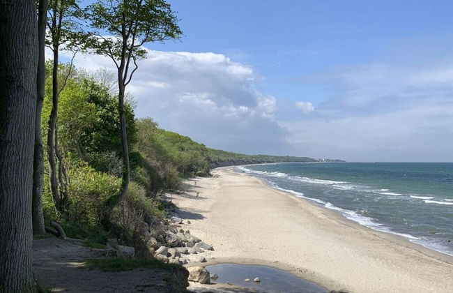 Luxury Holiday Home With Sauna - Foto 12