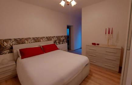 App vicino a Pedavena - Foto 13