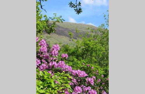 Sygun Cottage - Detached Cottage in the heart of the Snowdonia National Park - Photo 17
