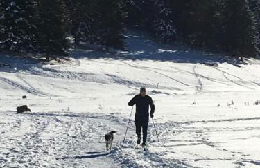 Gite Du Montagnol A Payolle - Foto 33
