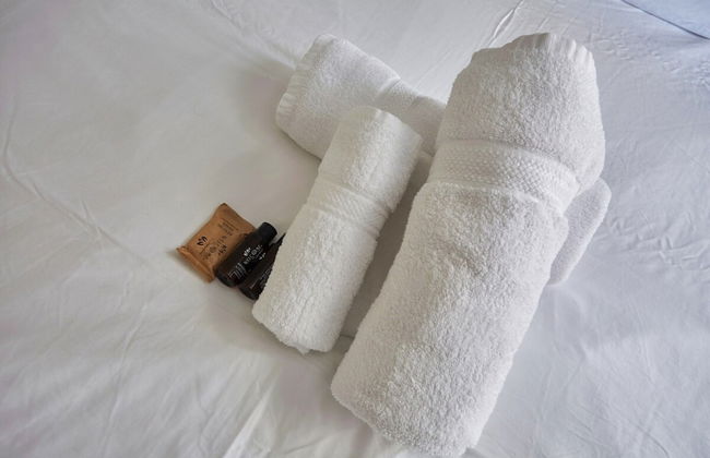 New Apartment Boulogne Facing "les Passages" - Foto 10