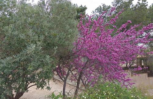 Outstanding Panoramic View, 10΄ Beach, 20΄ Airport - Photo 78