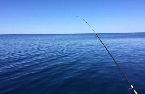 Gorgonia Suites in Verunic - Foto 24