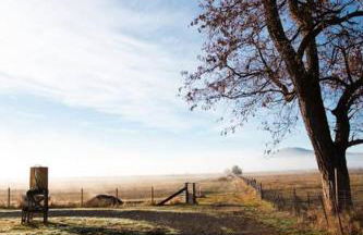 The Heritage House - Foto 25