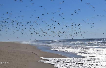 Casa Lagoa Verde - Foto 65