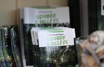 Chambre d'hôtes cosy Le Chalet -Tarn - Foto 14