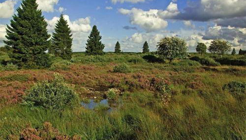 Cosy Apartment in Pepelow near Baltic Sea - Foto 5