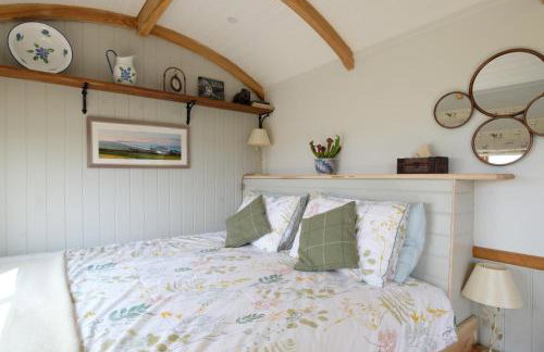 The Acorn - Luxury Shepherds Hut hot tub panoramic views - Foto 36