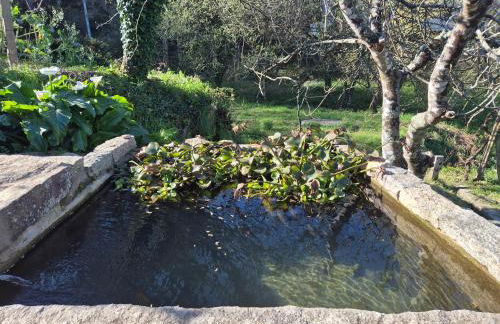 Casa grilo valença - Foto 16