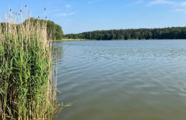 Apartament Jerzyn - Foto 24