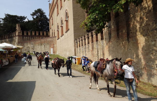 Agriturismo Piccola Raieda - Photo 76