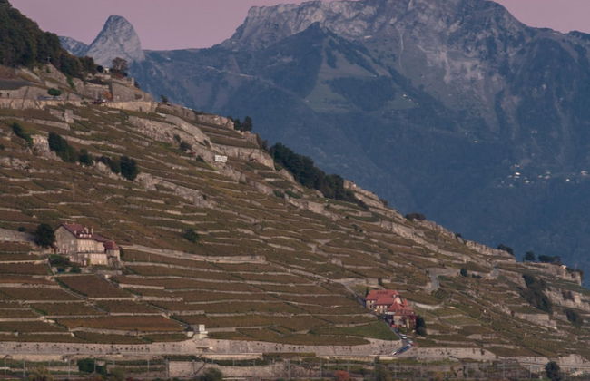 domaine du deven - Foto 59