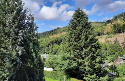 YALET Ferienhaus 2 appartementen vlakbij Willingen - Foto 18