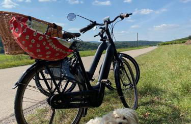 Ferienweingut Matthias Löwen - Foto 103