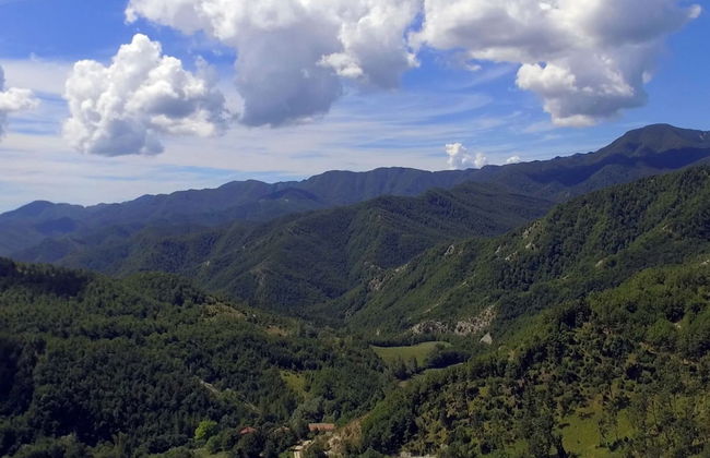 Belvilla by OYO Mora - Foto 36