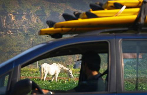 Casa Amado, Aldeia da Pedralva - Photo 51