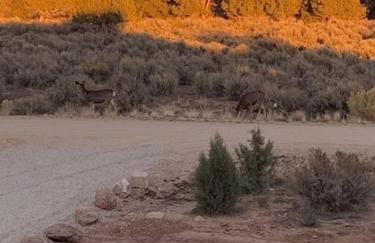 Painted Cliffs-Hot Tub, Amazing Views Between Zion and Bryce - Foto 31