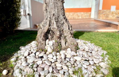 Villa Rosa - with private pool - Photo 14