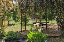 Erasmia's House - A Green Haven for Ultimate Relaxation - Foto 54