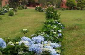 Recanto da Natureza- Chalé - Foto 39