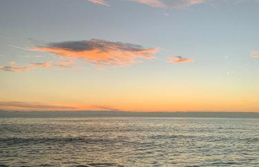 BLUE OASIS An inviting downtown Sarasota retreat - Foto 27