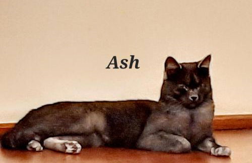 Il Casale di Lucullo - Foto 57