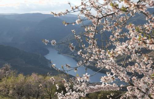 EiraDouro - Casa Oliveira - Foto 24