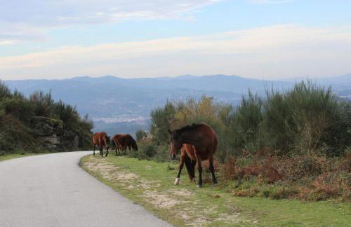 Casa Rautau - Foto 30