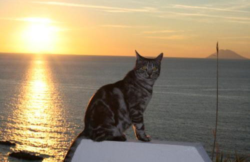 Residenza Stefanelli - Foto 26