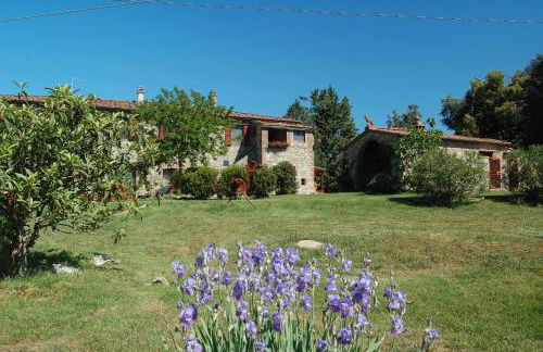 Agriturismo San Ansanino- Piscina con spiaggia-Aria condizionata - Foto 11