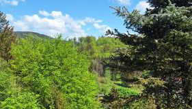 Haus Westharz Goslar - Foto 5