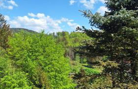 Haus Westharz Goslar - Foto 5