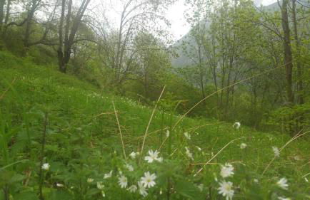 Ca l'ESTRELLA - Foto 49