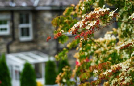 Tyn Y Fron 6 bedroom house in Betws-y-Coed Snowdonia - Foto 48