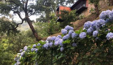 Sobreiro Valley - Casa Firmino - Foto 3, Garden view