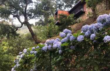 Sobreiro Valley - Casa Firmino - Foto 3