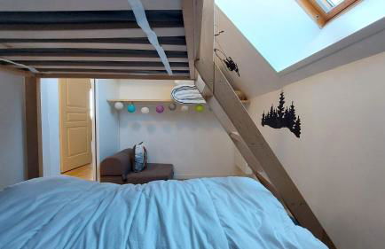 La forêt des Marmottes - Photo 17