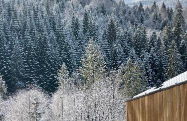 Widokownia Brenna - Foto 49