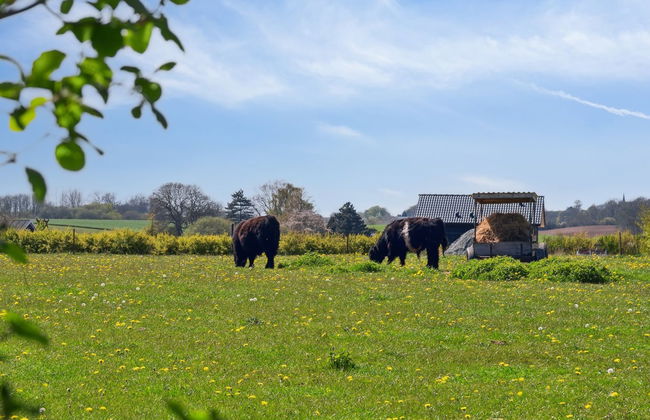 "Bjarke" - 200m from the sea - Foto 5