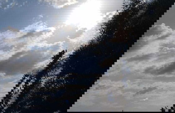 Sharry's Homestay - Foto 31