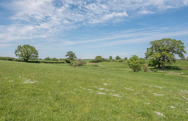 Geoff's Rest, Pond Hall Farm, Hadleigh - Foto 12