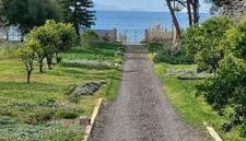 Coralia's beachfront sea view studio - Foto 2