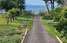 Coralia's beachfront sea view studio - Foto 2