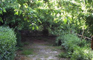 Apartamentos Condado de Miranda - Foto 31