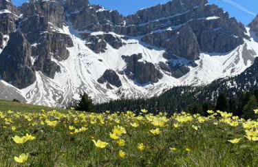 Appartamenti la Fontana - Photo 18
