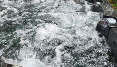 Chambre d'hôtes les Angles 30133 Possibilité jacuzzi - Foto 2