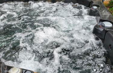 Chambre d'hôtes les Angles 30133 Possibilité jacuzzi - Foto 2