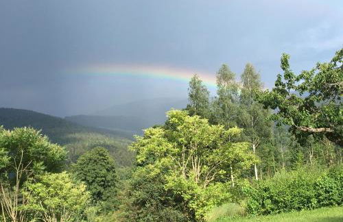 Ferienhaus am Kagerstein - Foto 5
