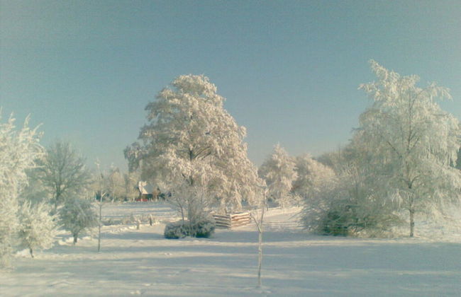 Gallery 1 Comfortable Holiday Residence - Foto 13